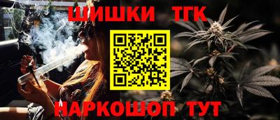 мдпв Партизанск