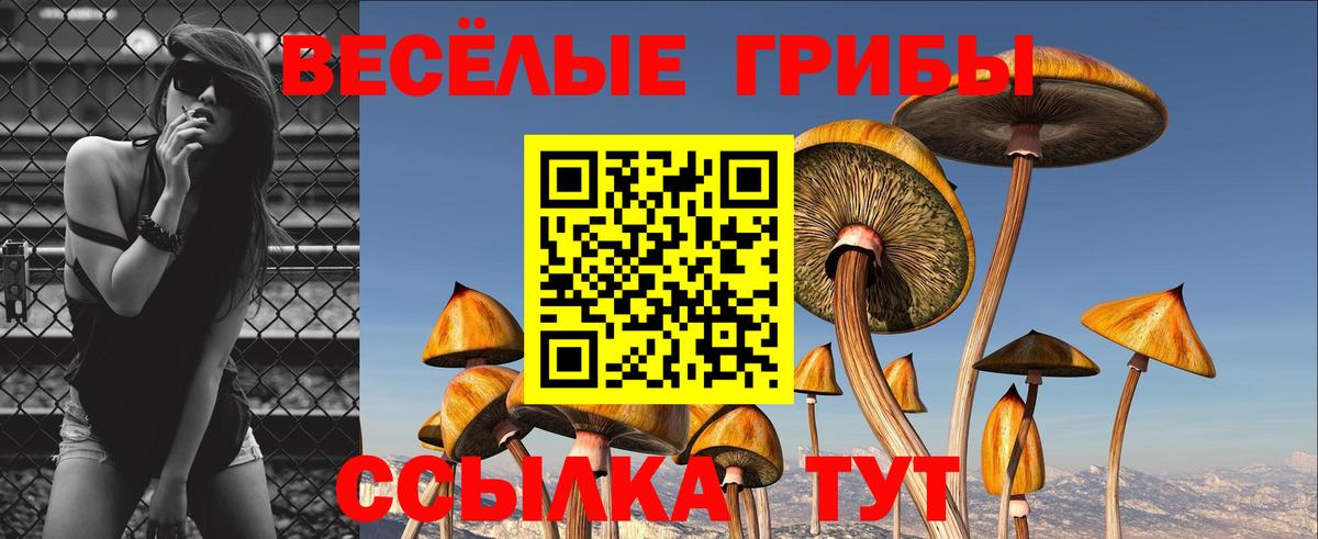 Галлюциногенные грибы ЛСД  Вход с VPN  Галлюциногенные грибы Magic Shrooms  Троицк 